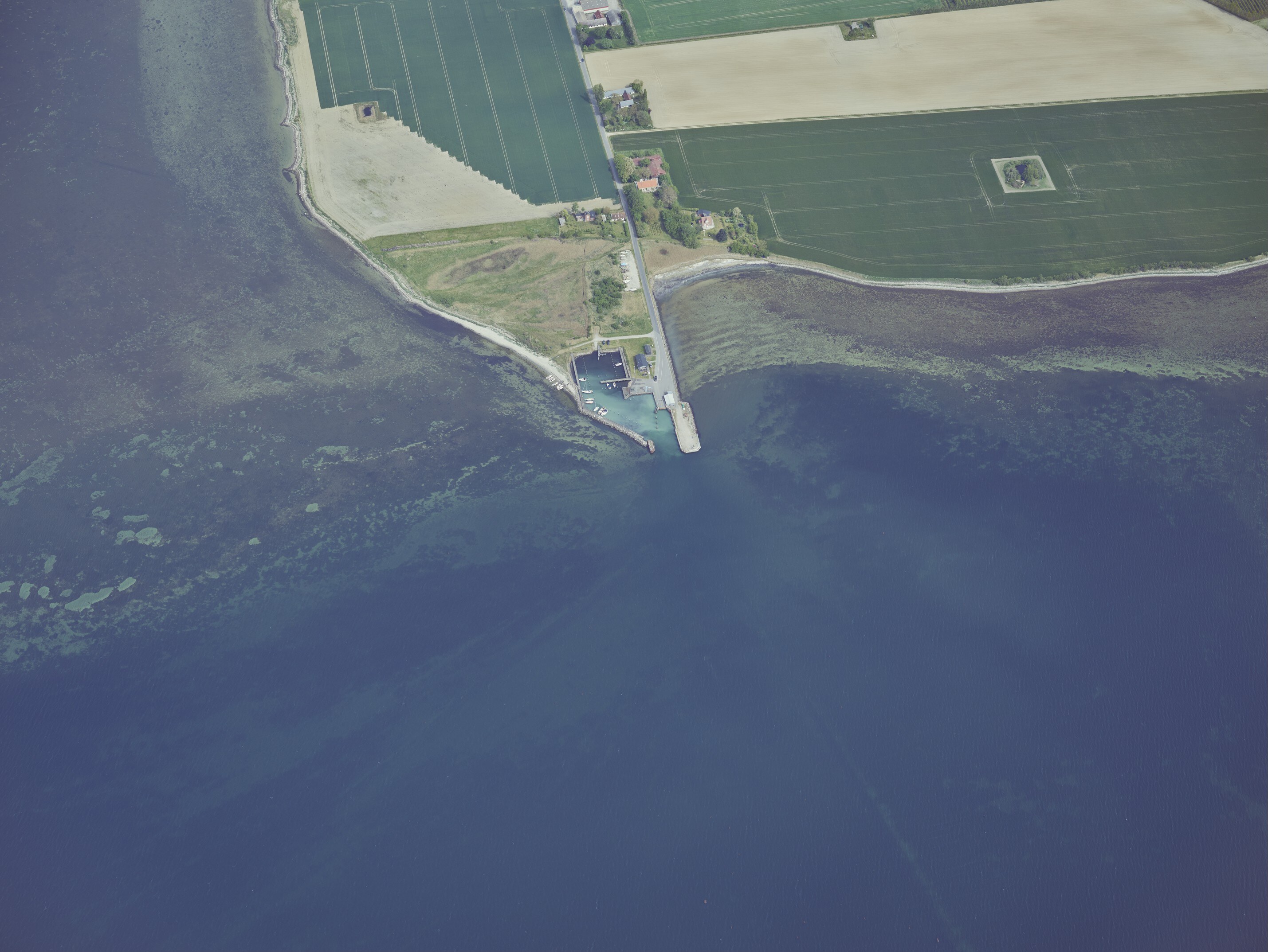 Askø Havn